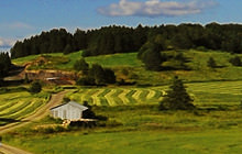 Farm in Quebec, Saint-Ephrem-de-Beauce - Virtual tour
