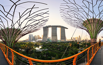 Supertree Grove and MBS, Gardens by the Bay - Virtual tour