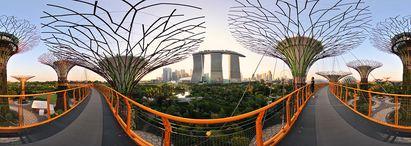 Supertree Grove and MBS, Gardens by the Bay - Virtual tour