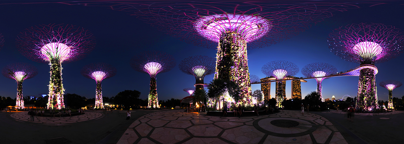 Supertree Grove at night, Gardens by the Bay - Virtual tour
